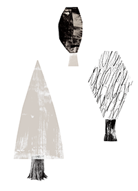 woods